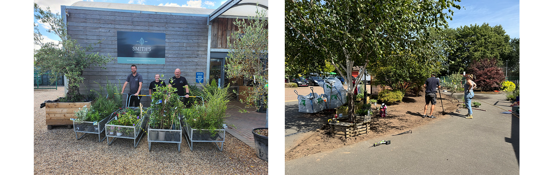 Evergreen School Garden Volunteer Day