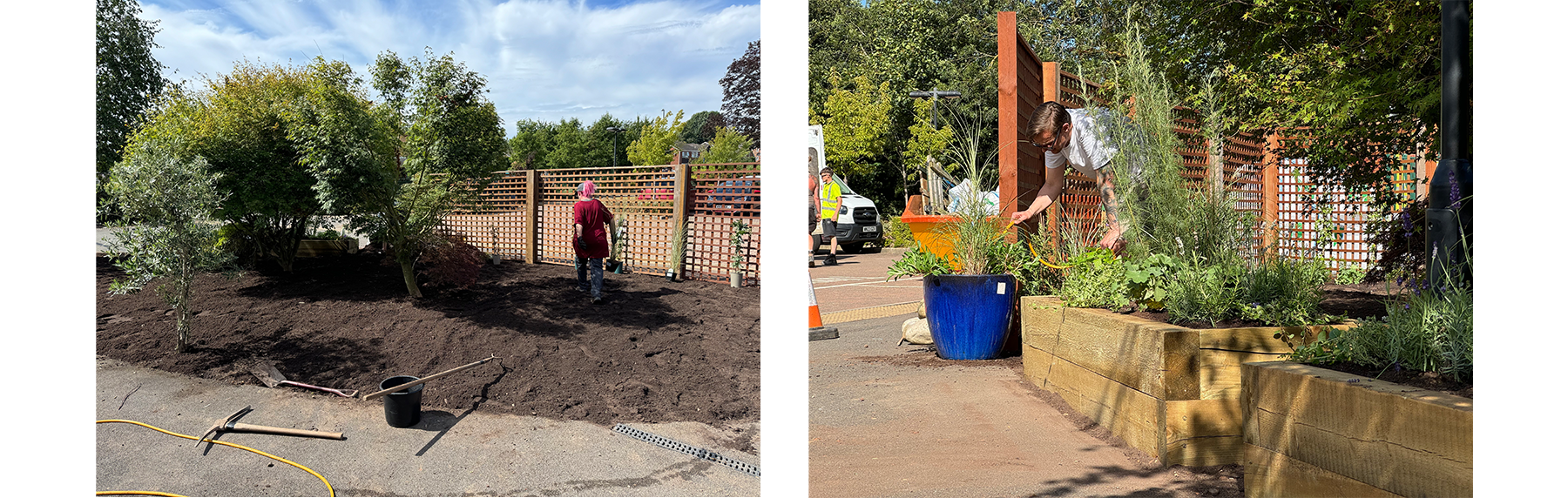 Evergreen School Garden and Planters