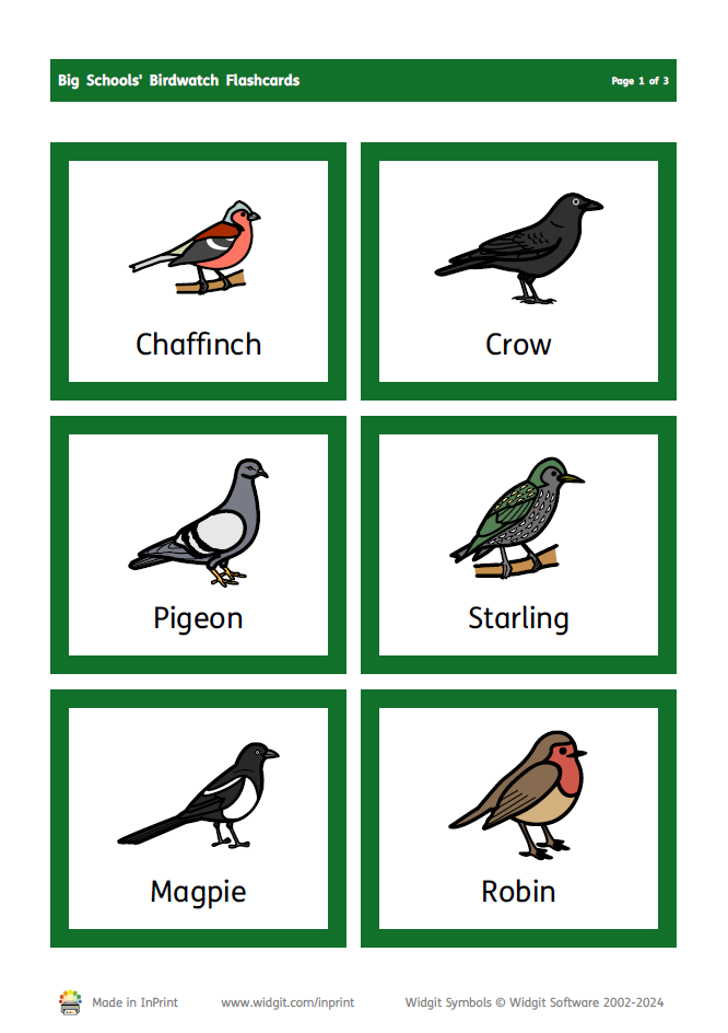 Big Schools' Birdwatch – Flashcards