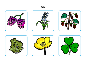 Pairs matching activity